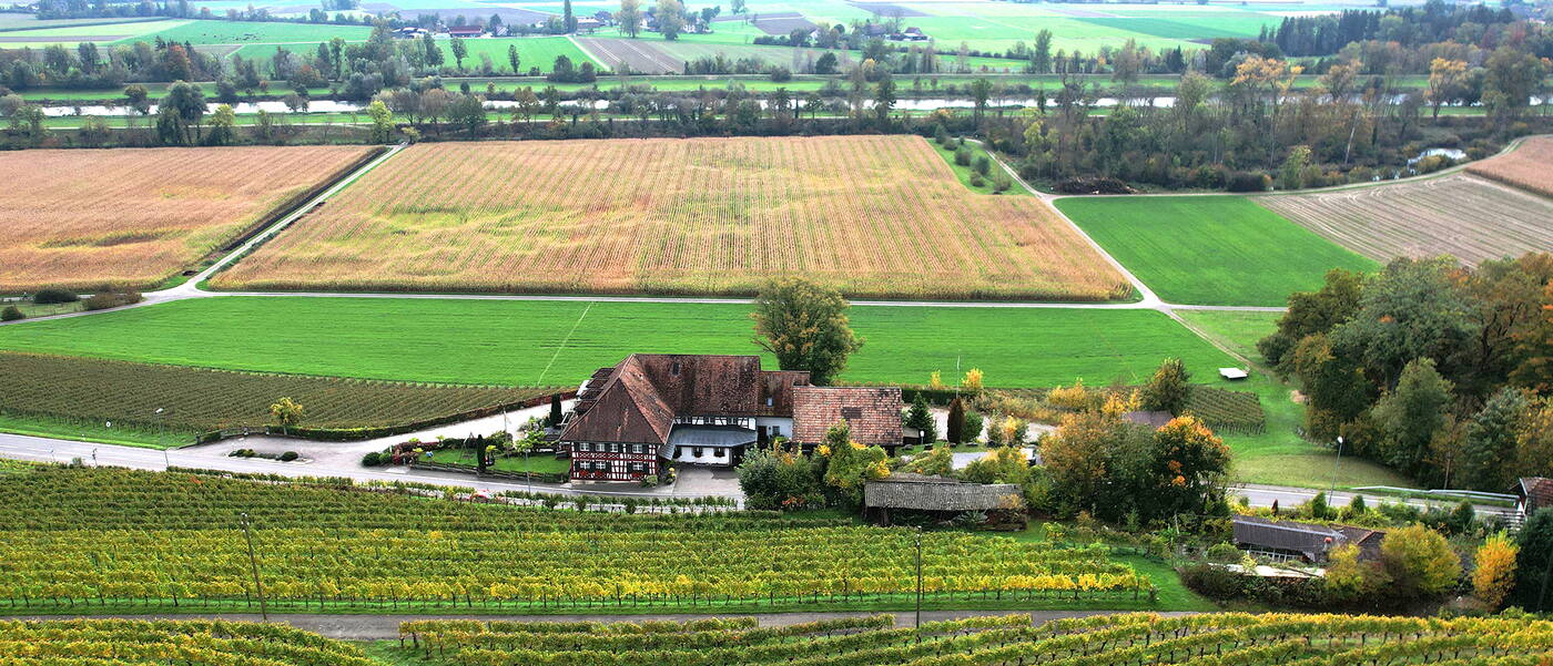 Walter Wittwer Immobilienberatungen AG_Verkauf Einzelobjekte_Seuzacherstrasse 53_8412 Riet Neftenbach