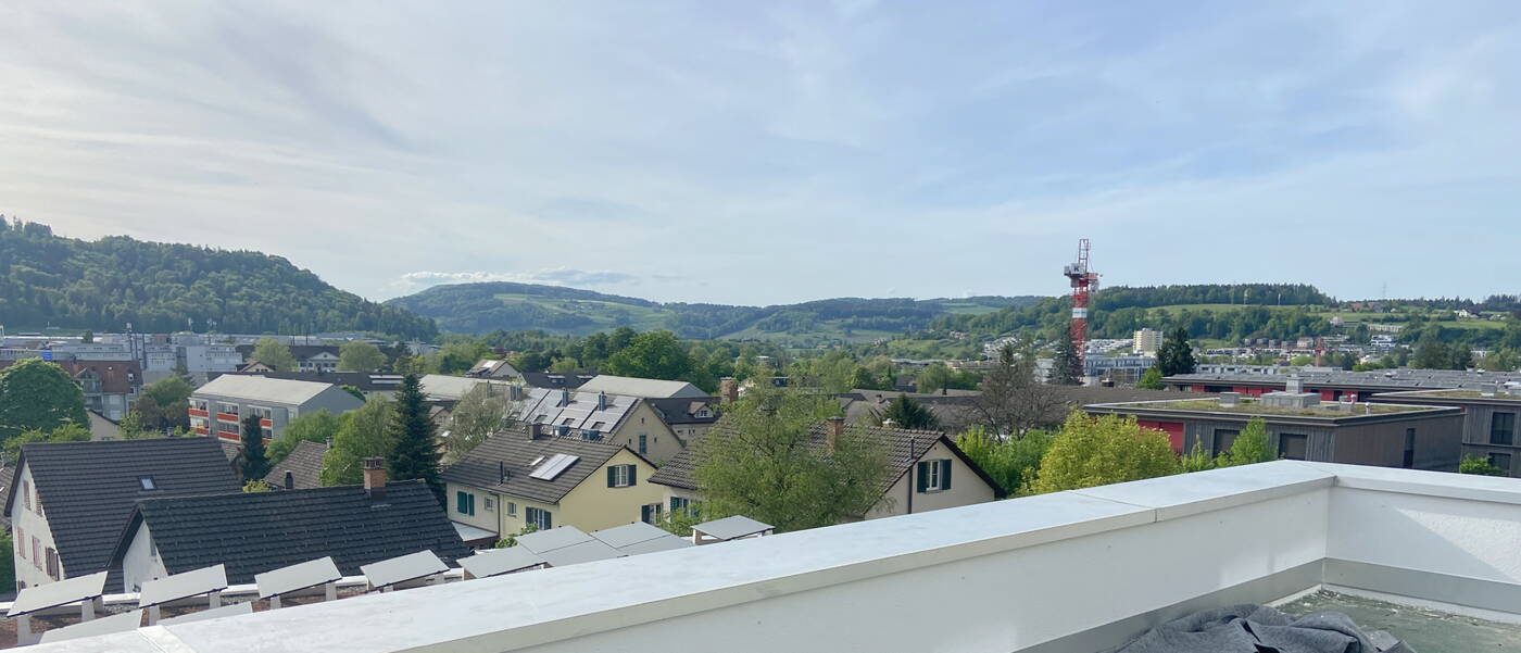 Walter Wittwer Immobilienberatungen Neubau Areal Birchweid Uetikon am See