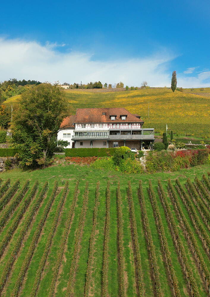 Walter Wittwer immobilienberatungen Überbauung Florenstrasse in Winterthur