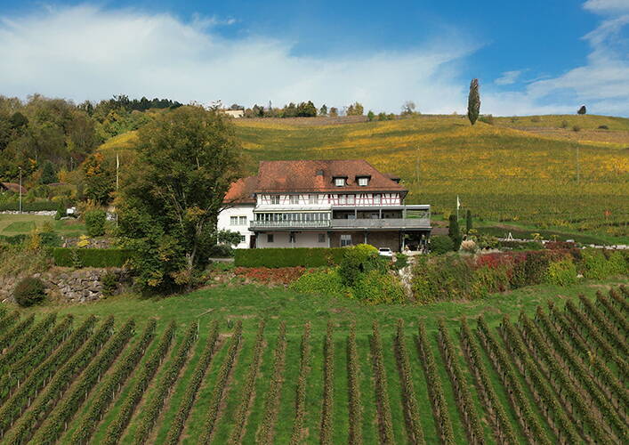 Walter Wittwer immobilienberatungen Neubau Areal Birchweid in Uetikon am See