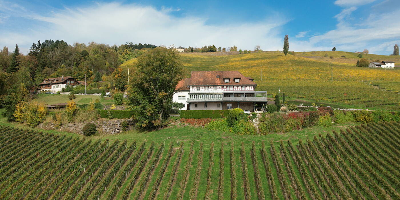Walter Wittwer Immobilienberatungen AG_Verkauf Einzelobjekte_Seuzacherstrasse 53_8412 Riet Neftenbach