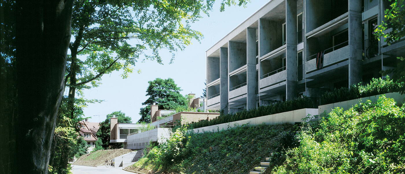 Walter Wittwer immobilienberatung Neubau Heiligberg