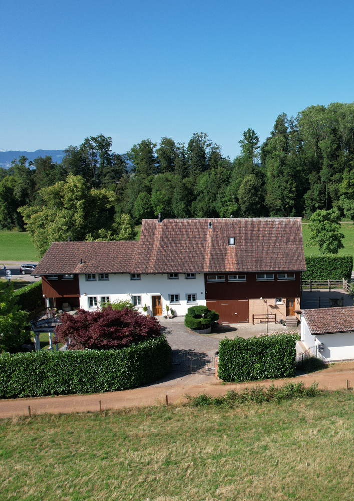 Walter Wittwer Immobilienberatungen Terrassenueberbauung Landenberg
