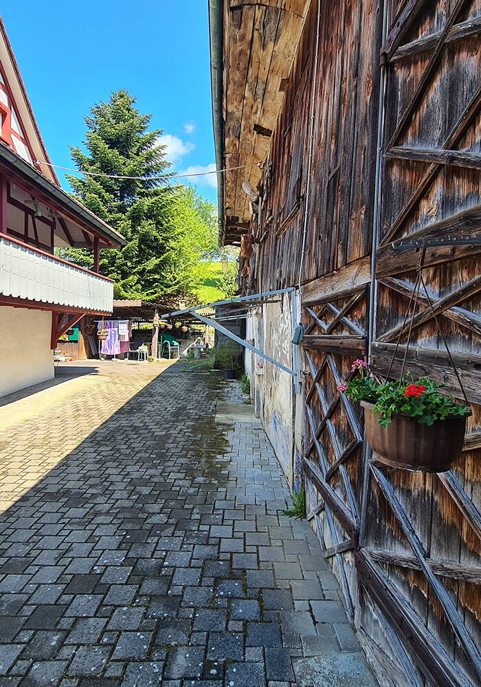 Walter Wittwer Immobilienberatungen Neubau Areal Birchweid Uetikon am See Walter Wittwer Immobilienberatungen Neubau Areal Birchweid Uetikon am See