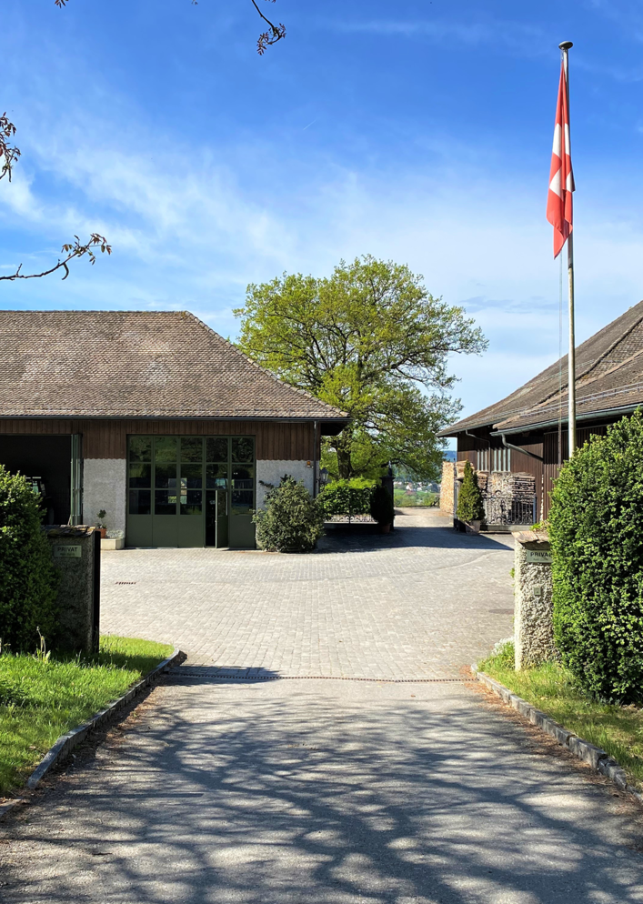 Walter Wittwer Immobilienberatungen Terrassenueberbauung Landenberg