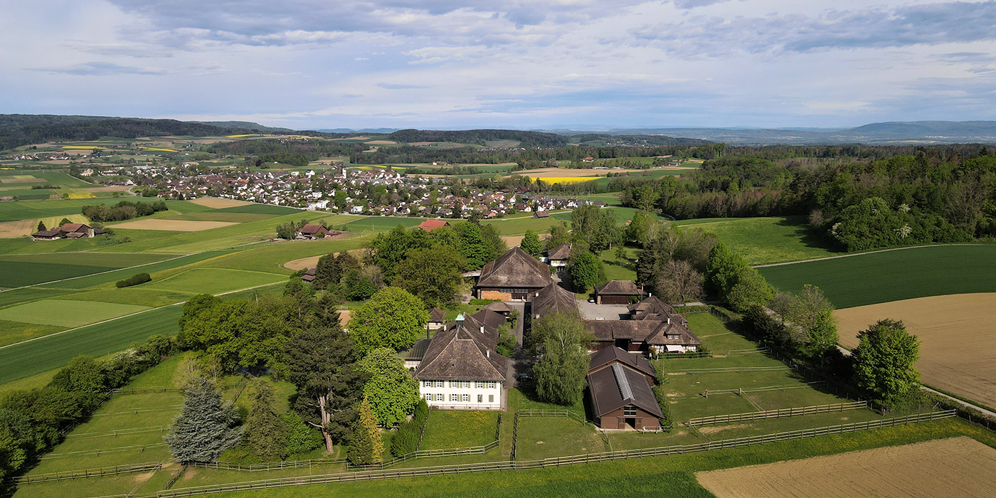 Walter Wittwer Immobilienberatungen AG_Verkauf Einzelobjekte_Seuzacherstrasse 53_8412 Riet Neftenbach Walter Wittwer Immobilienberatungen AG_Verkauf Einzelobjekte_Seuzacherstrasse 53_8412 Riet Neftenbach