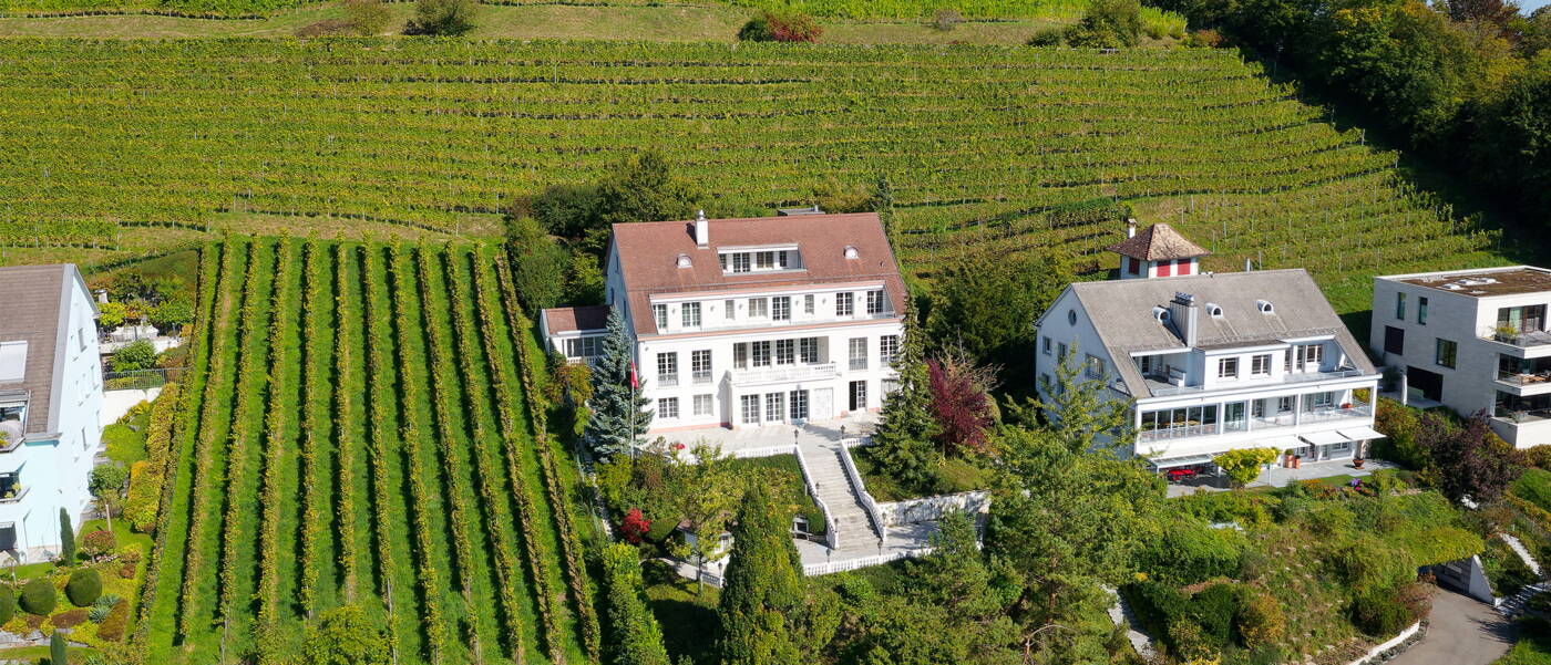 Walter Wittwer Immobilienberatungen Neubau Areal Birchweid Uetikon am See Walter Wittwer Immobilienberatungen Neubau Areal Birchweid Uetikon am See